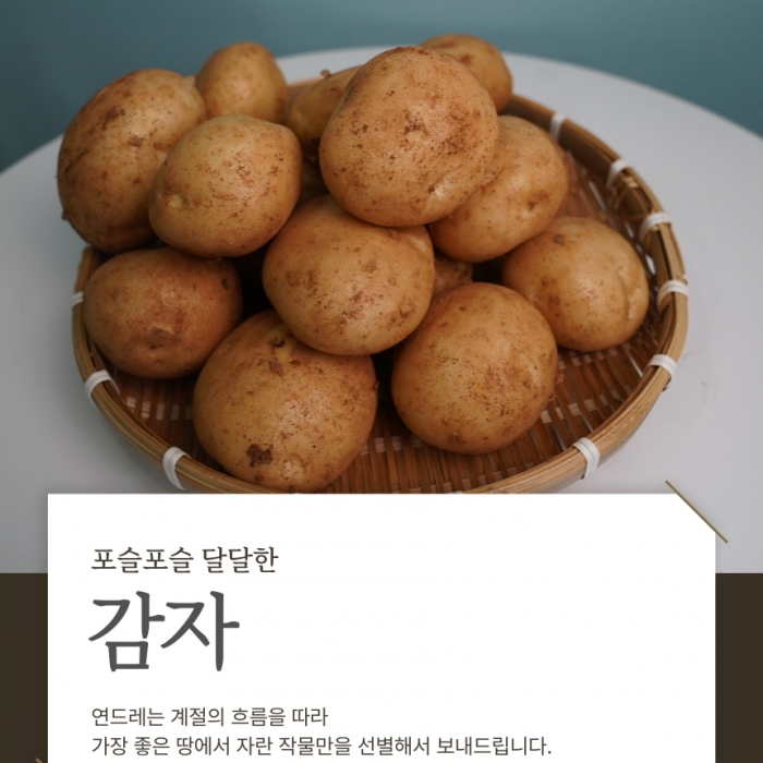 국내산 햇 감자 노지 감자   3kg,5kg,10kg,20kg