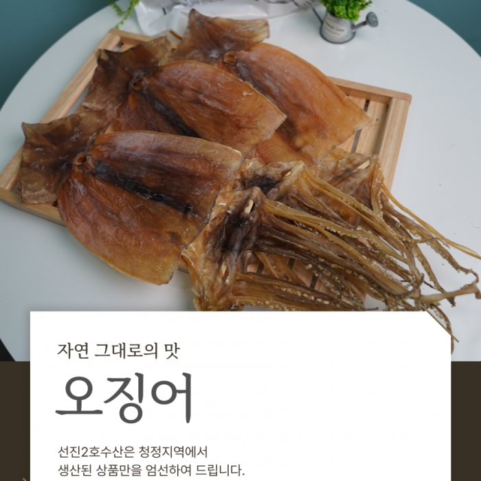 원양산  마른오징어 1마리, 20마리