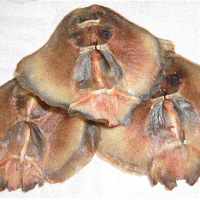 벌교수진수산 국산 반건조 간재미(간제미) 가오리 마른간재미 말린간재미(가오리)...