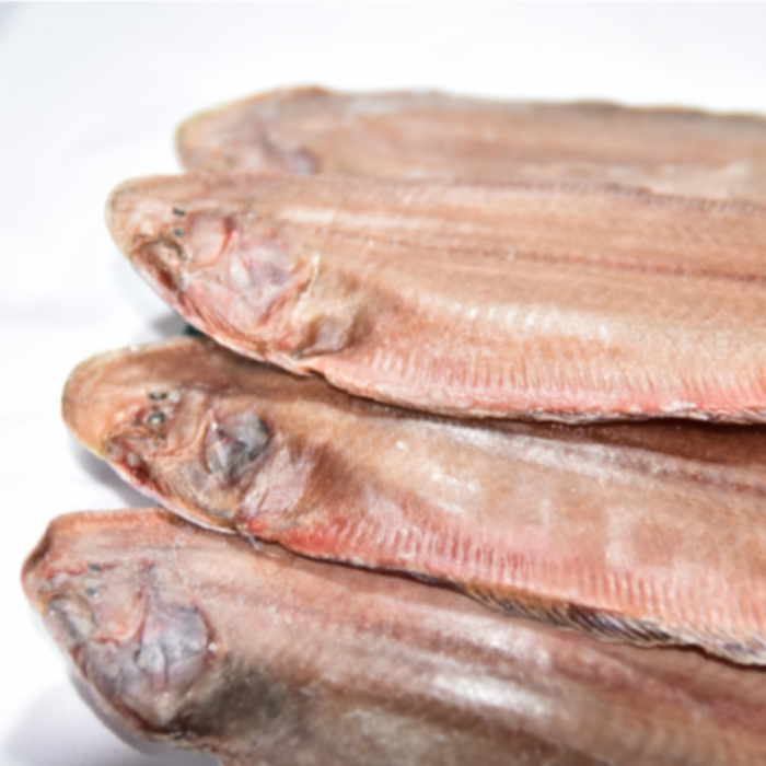 벌교수진수산 국내산 반건조 서대 제수용 제사 생선 마른서대 말린서대