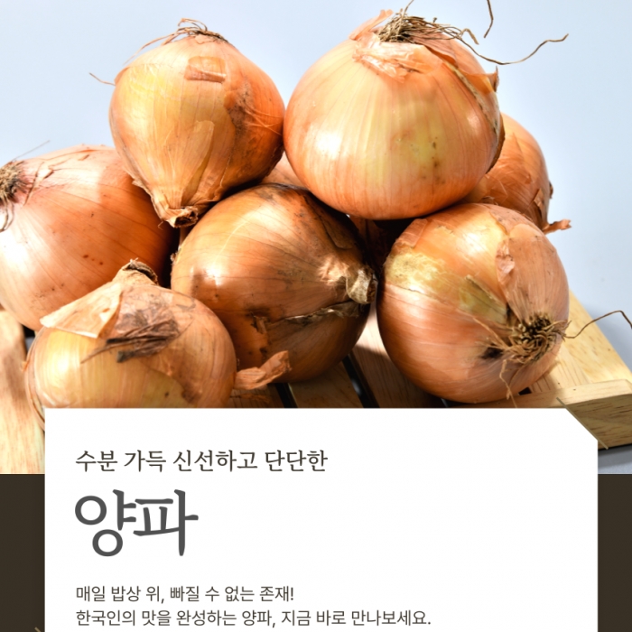 국내산  무안 양파  20kg