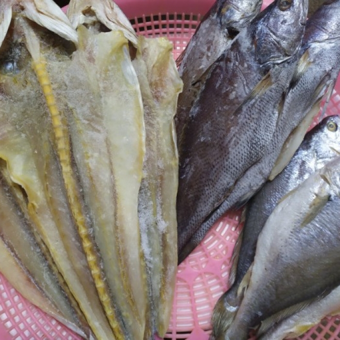 반건조 생선 모둠(모듬) 프리미엄  2호 세트