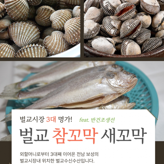 전남보성 벌교 제철 참꼬막 1kg 새꼬막 3kg
